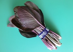 368.紫祭（紫小松菜）