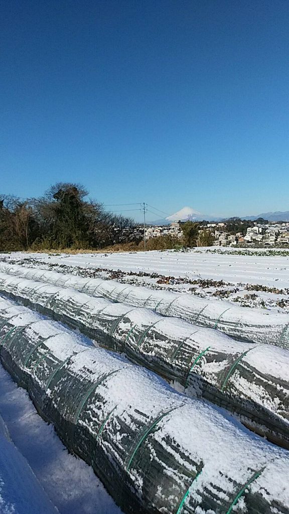 ファイル 2017-02-14 22 36 33