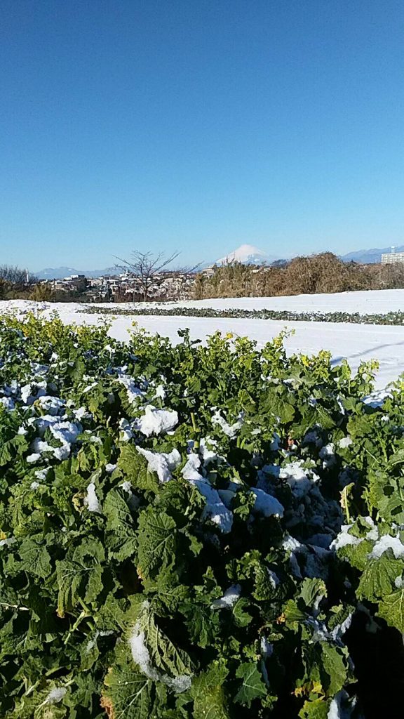 ファイル 2017-02-14 22 38 11